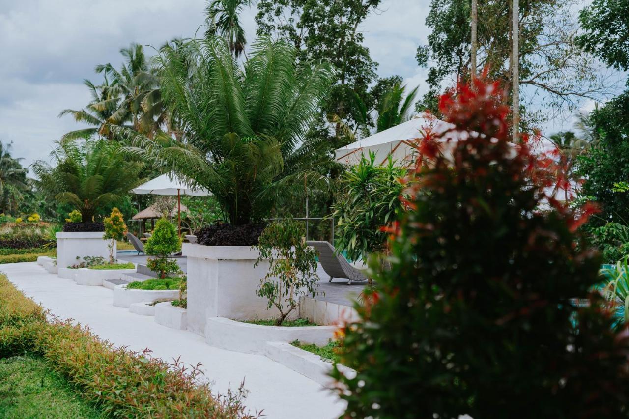 Nirvana Hotel Resort 特特巴图 外观 照片